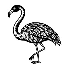Obraz premium Black and white flamingo vector illustration tropical bird design exotic animal clip art wildlife drawing