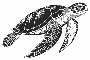 Fototapeta premium hawksbill turtle sihouette black vector 