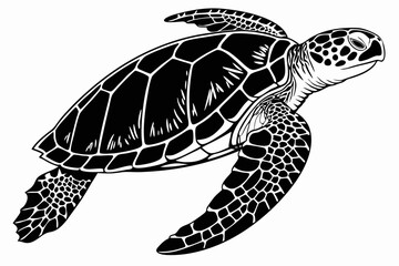 Fototapeta premium hawksbill turtle sihouette black vector 