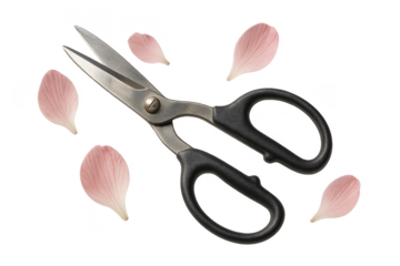 Open scissors and pink flower petals isolated on transparent background, studio shot