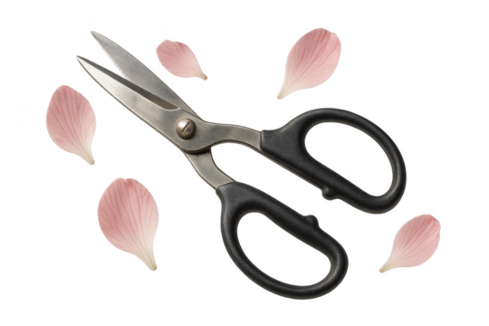 Open scissors and pink flower petals isolated on transparent background, studio shot - Powered by Adobe