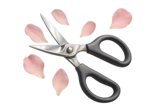 Crafting spring: Scissors with pink flower petals isolated on transparent background