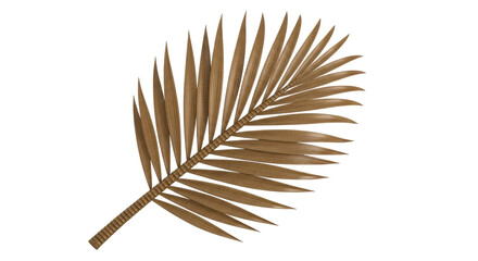 Isolated Palm Leaf Dried