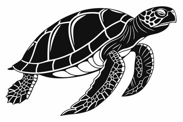 Fototapeta premium gal pagos tortoise silhoette black vector