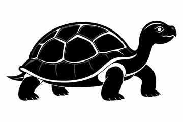 Fototapeta premium gal pagos tortoise silhoette black vector
