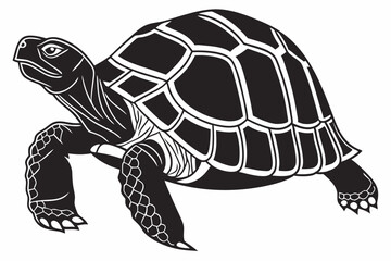 Fototapeta premium gal pagos tortoise silhoette black vector