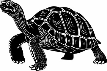 Fototapeta premium gal pagos tortoise silhoette black vector