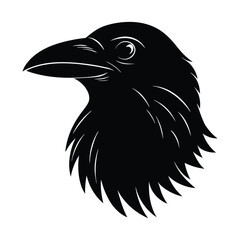 crow on a white background