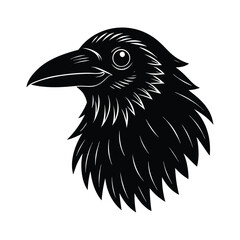 eagle vector illustration