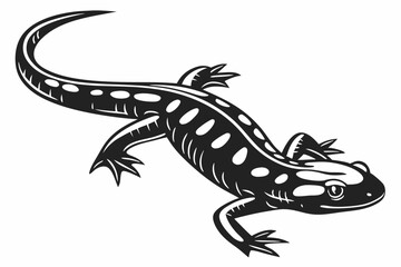 Fototapeta premium fire salamander sihouette black vector 