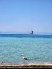 A beautiful view of the coast from a beach on an island in Greece, overlooking mountains and crystal clear water.