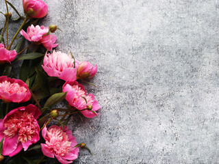 Bouquet of a lot of peonies of pink color close up. Flat lay, top view. Peony flower texture. Purple peonies on a gray background, copy space.