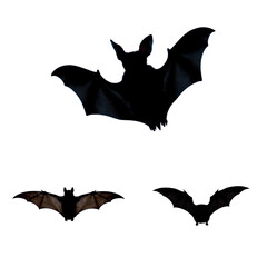 Fototapeta premium Bat silhouette, set, set, professional product photography, studio light, png, transparent background.