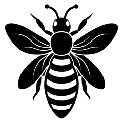 Fototapeta premium A black and white silhouette of a bee isolated on white background