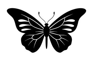 Black butterfly silhouette isolated on white background