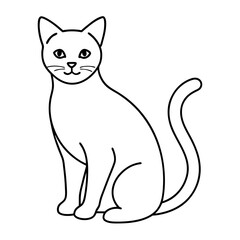 Obraz premium A cute cat sitting isolated on white background