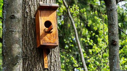 Wooden birdhouse on a tree in the forest