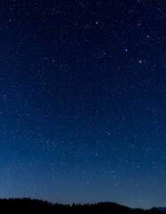 Obraz premium Starry Night Sky Above Silhouetted Trees, Deep Blue Gradient, Tranquil Atmosphere