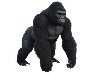 Isolated Dominant Male Gorilla Standing Tall