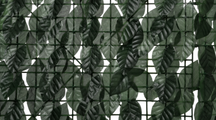 artificial plastic green leaves fence, camouflage net isolated on white background and texture, clipping path