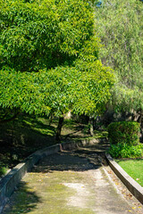 Lush green garden inside the historic walls of Évora, Portugal. Tranquil scene with manicured lawn and medieval charm, perfect for travel and heritage concepts.