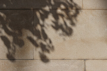 Shadows of tree leaves, branches on beige textured limestone wall in sunlight. Abstract natural...