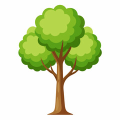 tree with green leaves