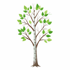 Obraz premium tree with green leaves