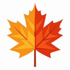 autumn maple leaf