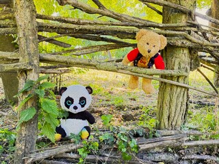 Teddy bears and the forest fence.