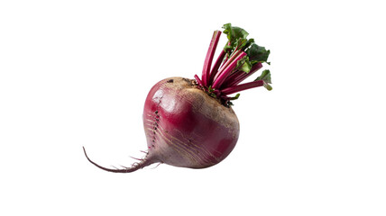 Beet root square isolated on transparent background