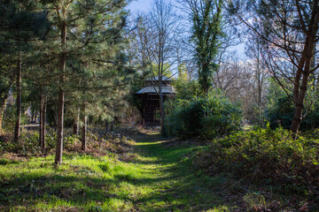 Trail leading to an abandoned building in Bois de Vincennes in Paris, France