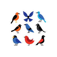 Obraz premium 38 vector illustration of 16 magpie blue jay .eps