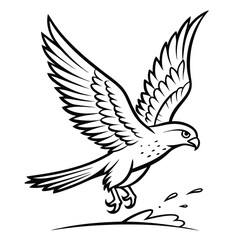Adobe Illustrator Artwork