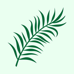 Fern leaf vector illustration