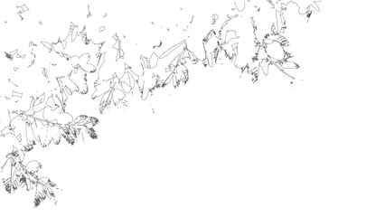 Delicate Hand Drawn Leaf Border Illustration on White Space