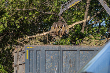 Industrial equipment lifting branches into dumpster, heavy machinery in action, outdoor scene, green foliage surrounding, daytime activity in progress.