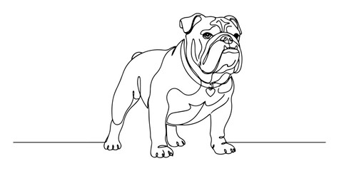 bulldog standing line art illustration