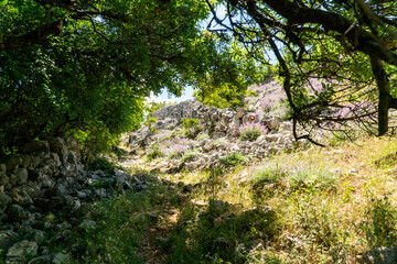 Hiking routes on the Pag Island in Croatia.