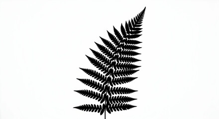 Fern Silhouette Against A Bright White Backdrop For Minimalist Designs