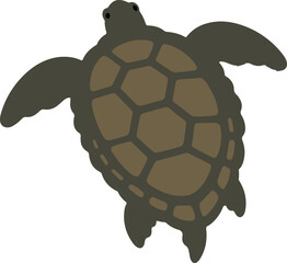 Colorful turtle illustration aquatic animal vector graphic