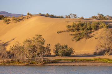 Seascape and dunes at Faro de Maspalomas on Gran Canaria, Spain