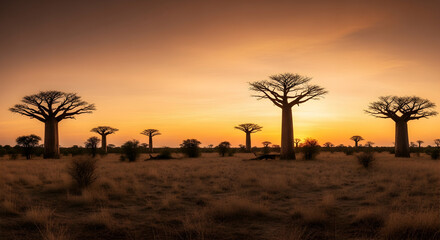 Baobab Trees Silhouette at Glorious Sunrise in African Landscape