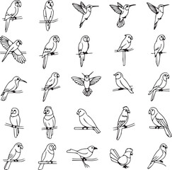 Naklejka premium 30 Elegant Bird Illustrations: Line Art Collection for Design Projects