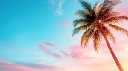 A tall palm tree silhouetted against a beautiful sky filled with pastel colors during sunset, creating an idyllic atmosphere that conveys relaxation and tropical vibes.