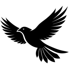 Obraz premium A black bird silhouette in flight isolated on white background