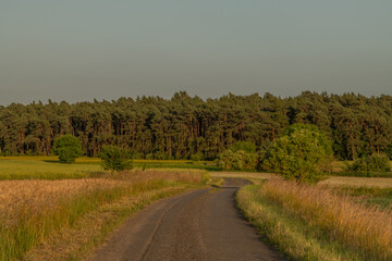 Hot summer sunset evening in Polabi area near Olesko village