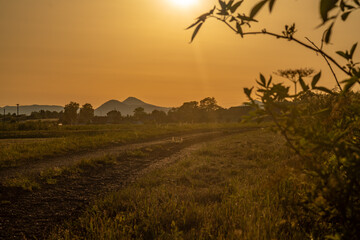 Hot summer sunset evening in Polabi area near Olesko village