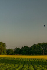 Hot summer sunset evening in Polabi area near Olesko village