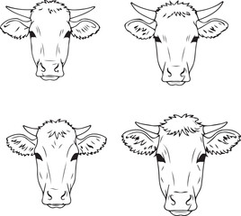 Four Line Drawings of Cow Heads: A Detailed Illustration